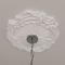 Ekena Millwork Plymouth Ceiling Medallion (Fits Canopies up to 1 5/8"), 16 3/4"OD x 1 3/8"P, Primed White CM16PL - alternate 6
